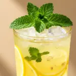 Oktoberfest Zitronen-Melisse Limonade - featured image